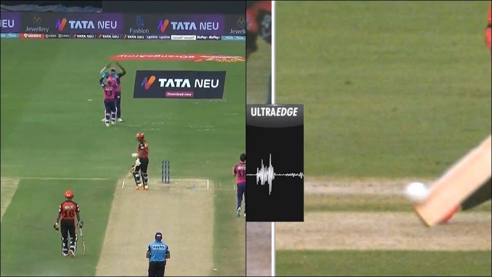 SRH batter Rahul Tripathi suffers brainfade, opts for DRS despite thick outside edge SRH batter Rahul Tripathi suffers brainfade, opts for DRS despite thick outside edge