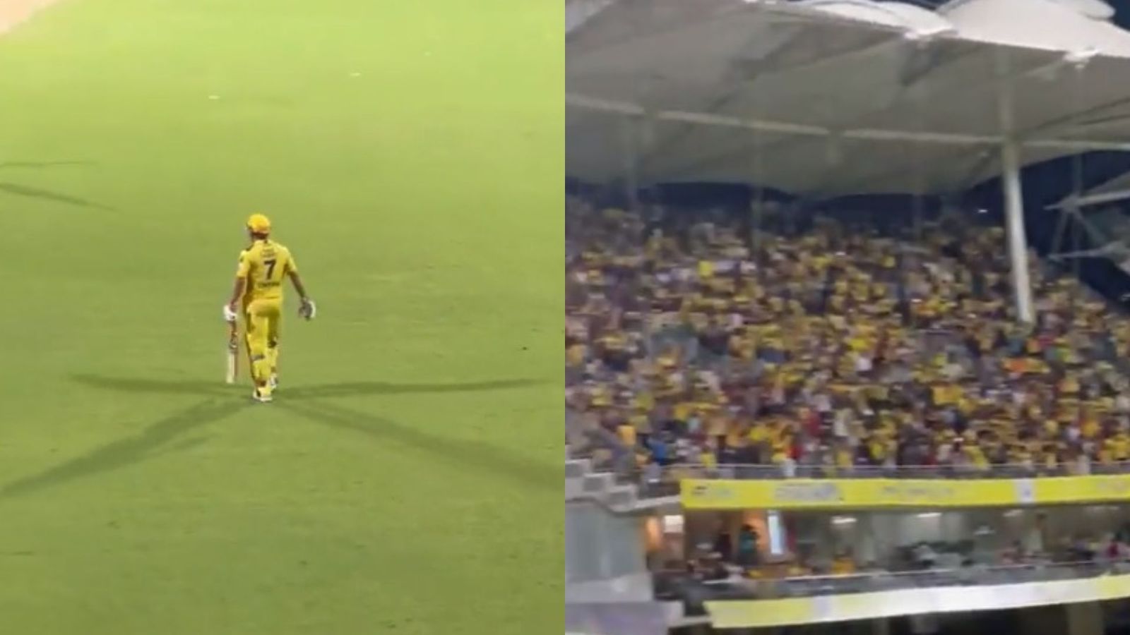 Watch: Deafening noise and relentless celebration, 360-degree view of Chepauk when MS Dhoni walked out to bat against LSG, video sets internet on fire Watch: Deafening noise and relentless celebration, 360-degree view of Chepauk when MS Dhoni walked out to bat against LSG, video sets internet on fire