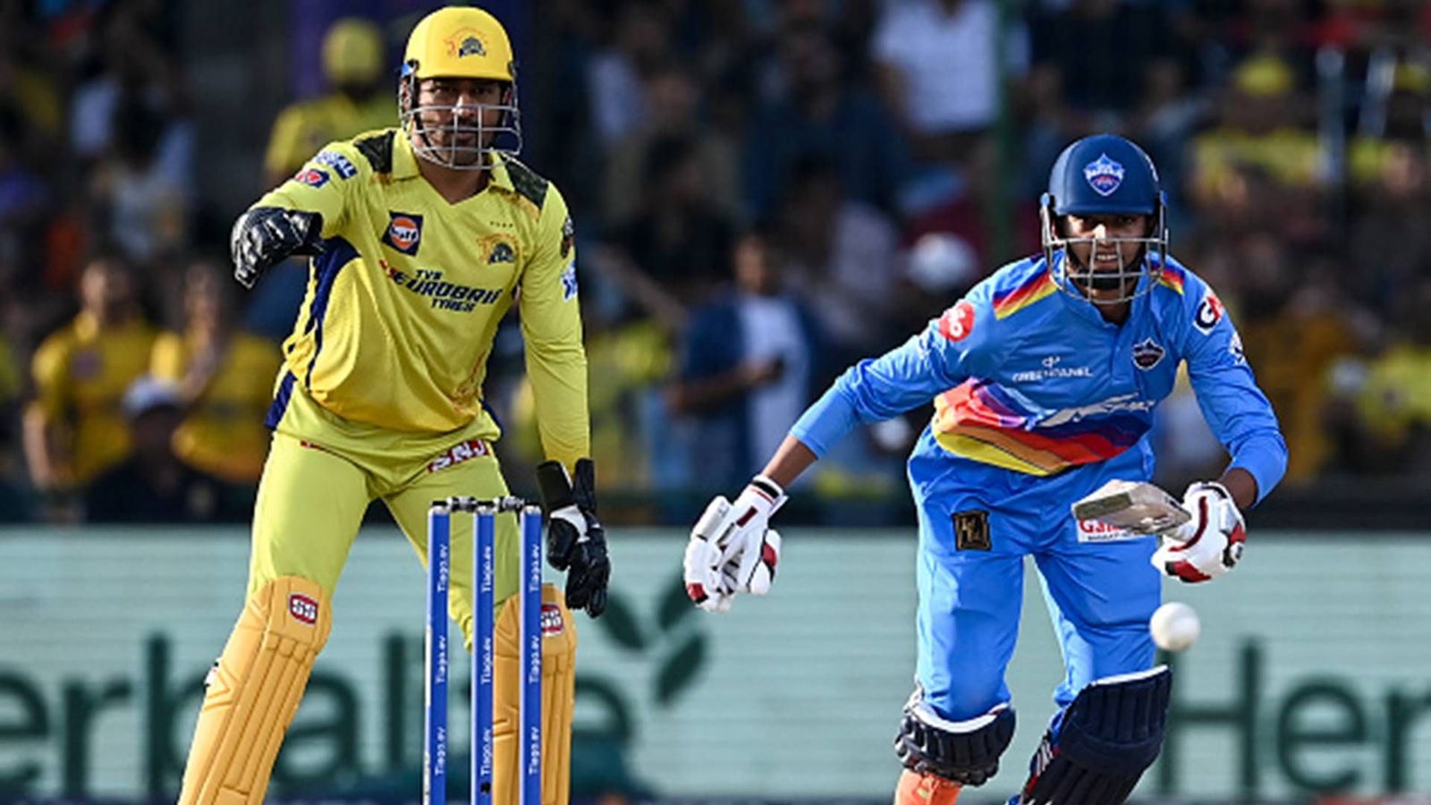 MS Dhoni's CSK book IPL 2023 playoffs spot with massive 77-run win over Delhi Capitals as Gaikwad-Conway duo shines in must-win clash MS Dhoni's CSK book IPL 2023 playoffs spot with massive 77-run win over Delhi Capitals as Gaikwad-Conway duo shines in must-win clash