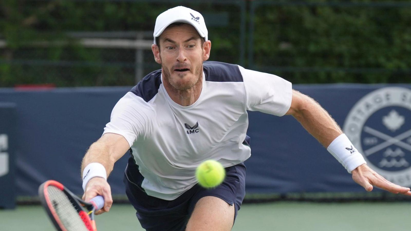 Andy Murray's gritty victory over Max Purcell propels him to Last 16 in Toronto Andy Murray's gritty victory over Max Purcell propels him to Last 16 in Toronto