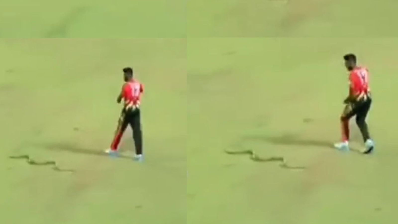 WATCH: Isuru Udana's close call with snake in LPL 2023 amidst B-Love Kandy's Victory over Jaffna Kings WATCH: Isuru Udana's close call with snake in LPL 2023 amidst B-Love Kandy's Victory over Jaffna Kings