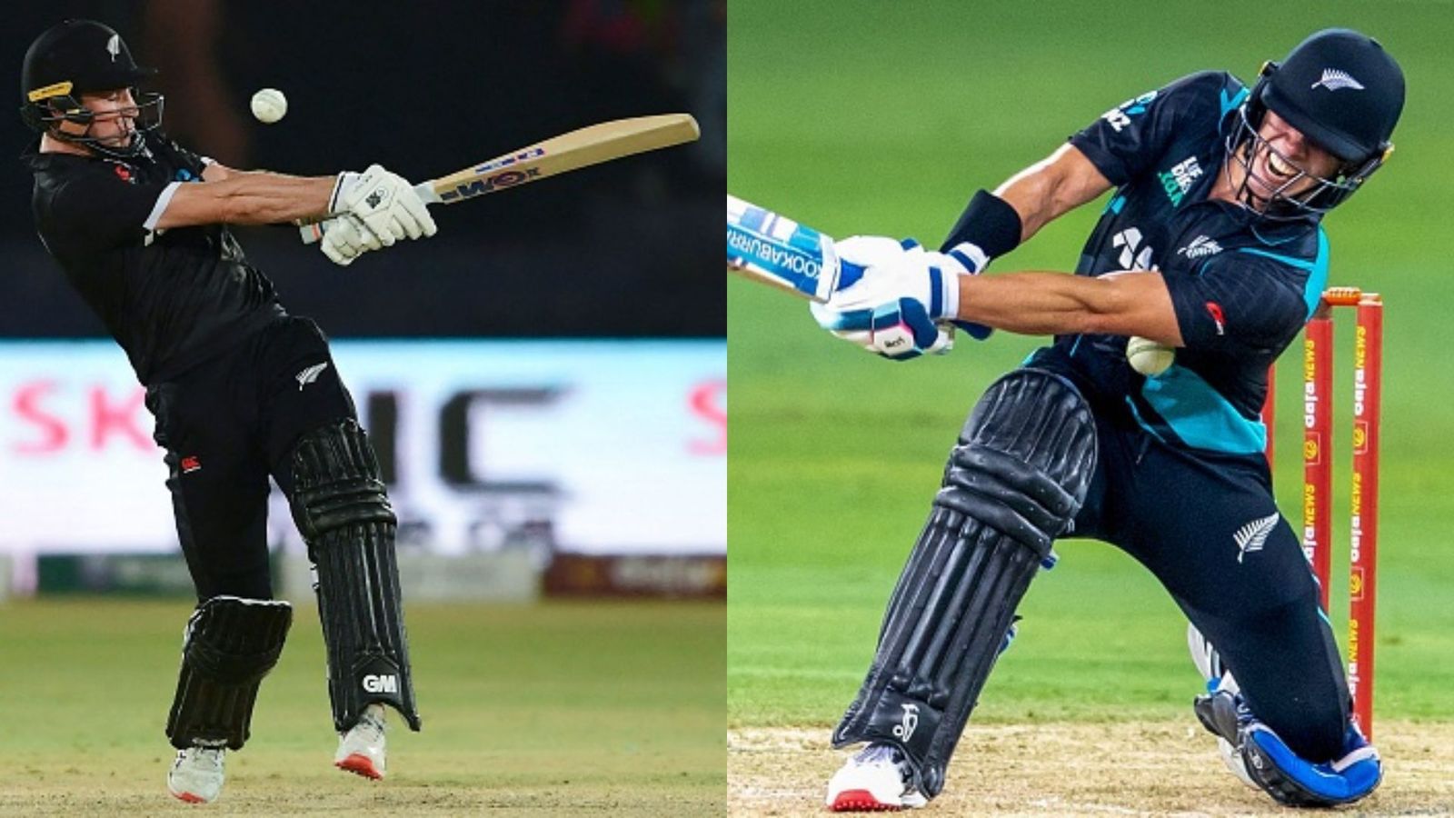 UAE vs NZ: Young, Chapman hit half-centuries as New Zealand beat UAE by 32 runs in 3rd T20I to clinch series 2-1 UAE vs NZ: Young, Chapman hit half-centuries as New Zealand beat UAE by 32 runs in 3rd T20I to clinch series 2-1