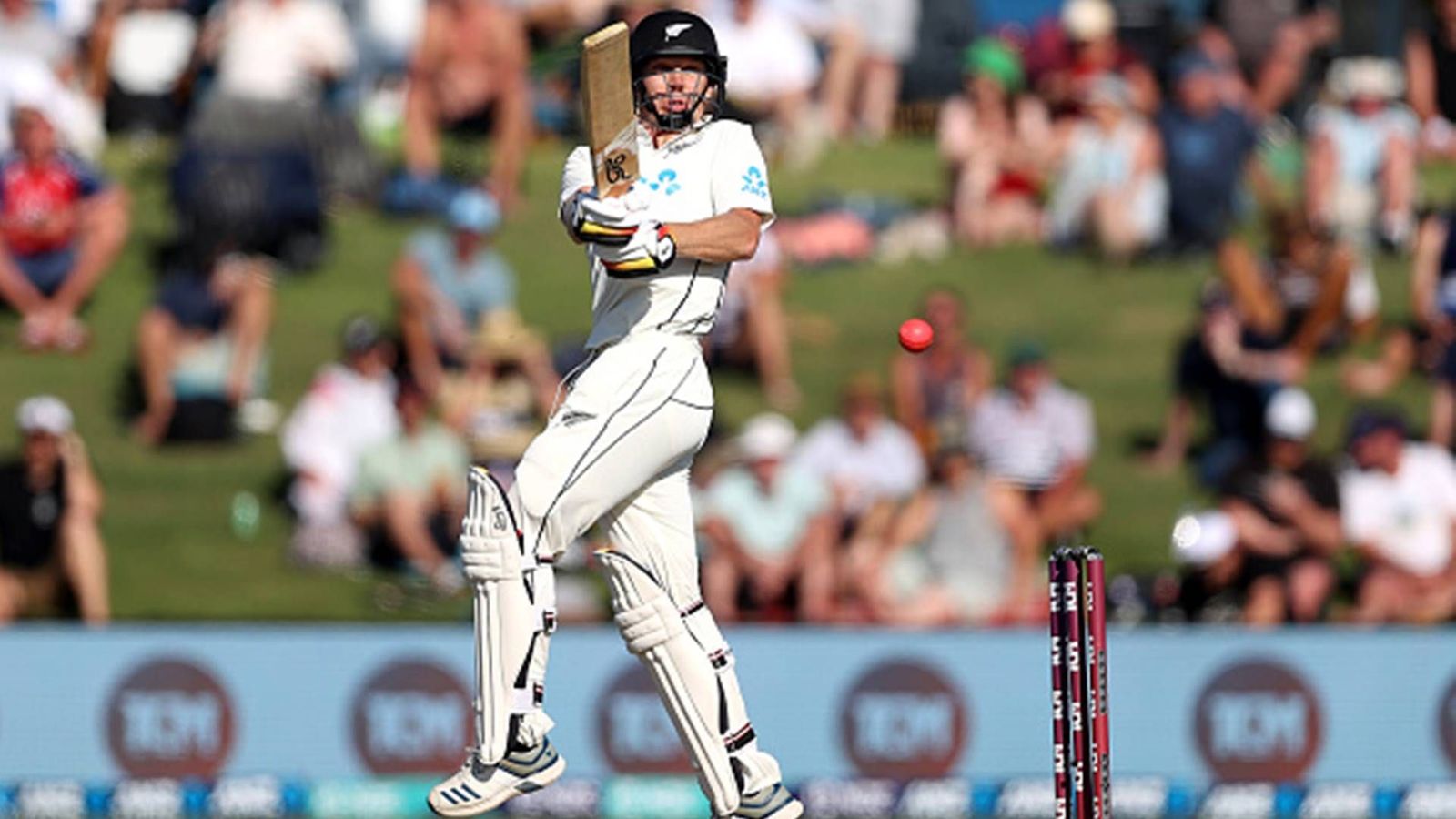 New Zealand bowler demonstrates 'Bazball' against Australian side, smashes unbeaten 85-ball 101 in unofficial Test New Zealand bowler demonstrates 'Bazball' against Australian side, smashes unbeaten 85-ball 101 in unofficial Test