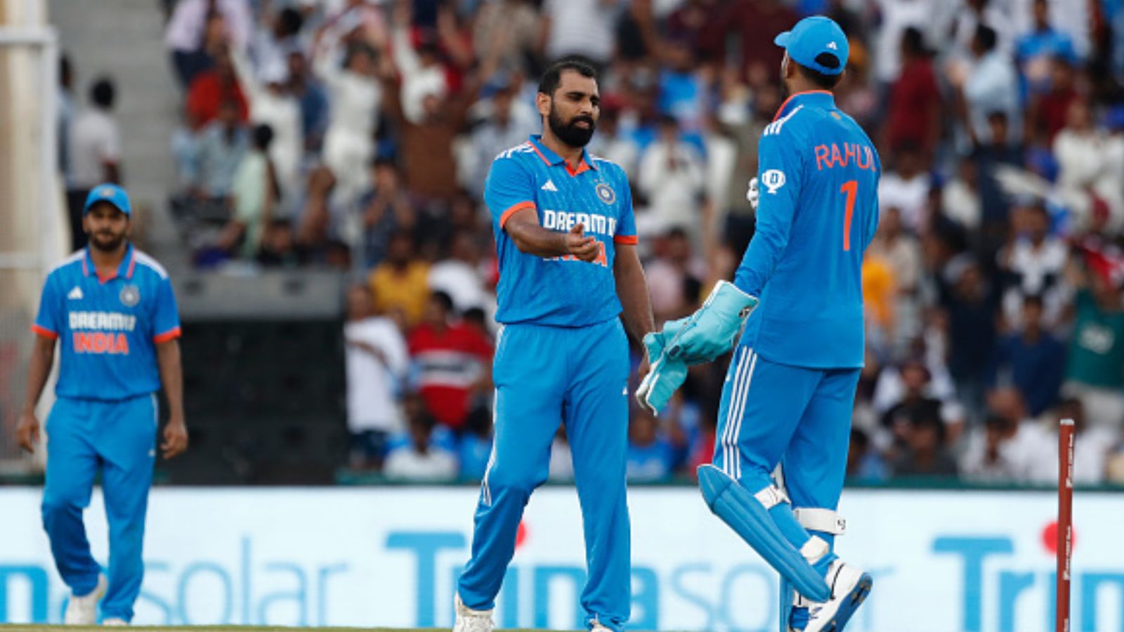 ‘I practice more at home than with Indian team’: Shami after five-wicket artistry against Australia in first ODI ‘I practice more at home than with Indian team’: Shami after five-wicket artistry against Australia in first ODI