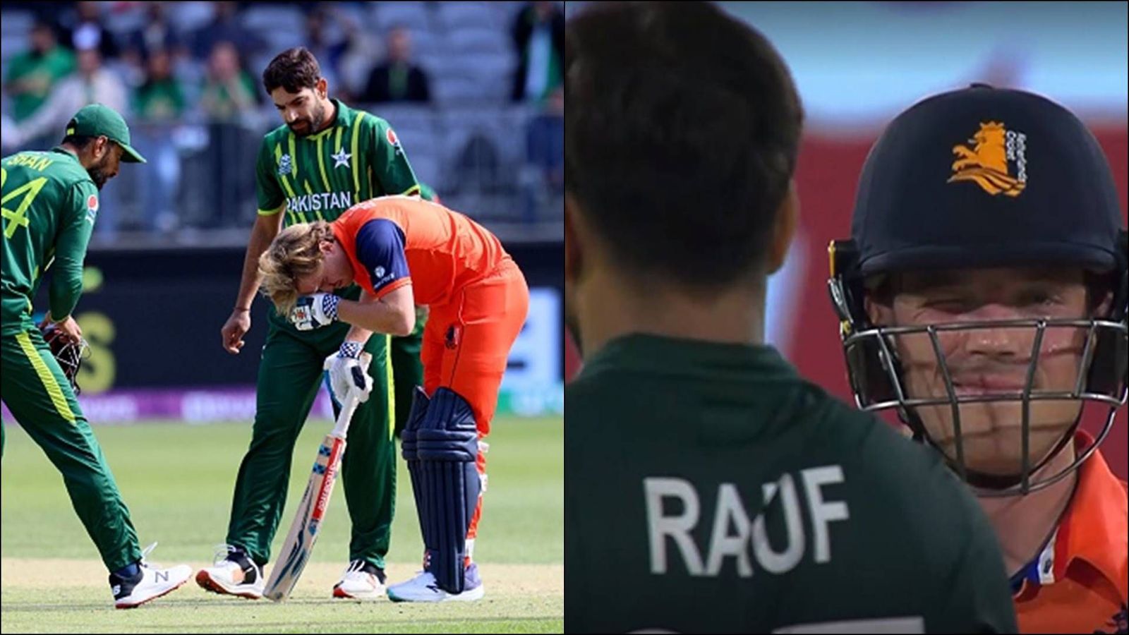 Injured by Haris Rauf's short ball in T20 World Cup 2022, Bas de Leede gives a wink after smoking six off bouncer Injured by Haris Rauf's short ball in T20 World Cup 2022, Bas de Leede gives a wink after smoking six off bouncer