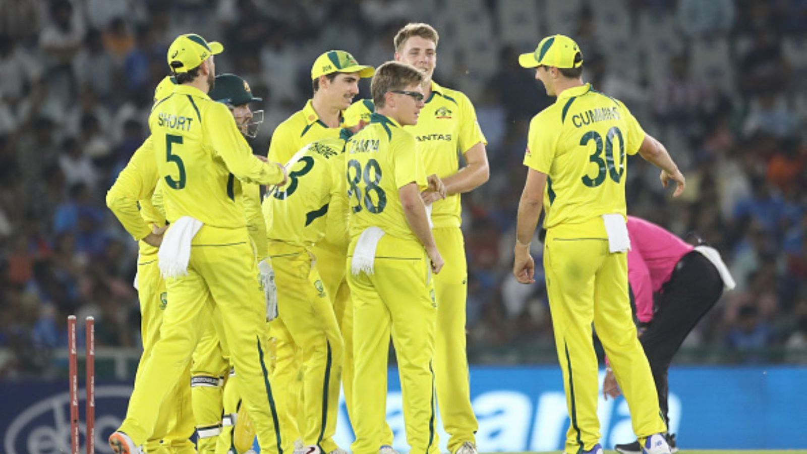 ODI World Cup 2023: Australia hit with major injury scare as Adam Zampa sustains wound to face during swimming session ahead of India clash Adam Zampa of Australia celebrates the wicket of Shubman Gill of India during game one of the One Day International series between India and Australia at Inderjit Singh Bindra Stadium on September 22, 2023 in Mohali, India.