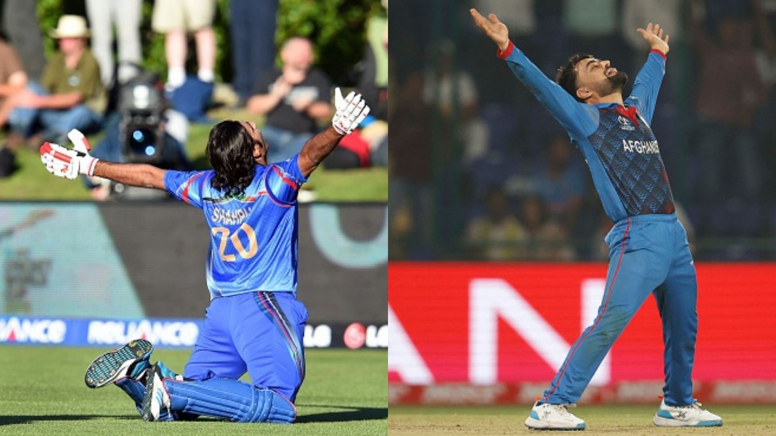 WATCH: From 2015 to 2023, relive Afghanistan's two ODI World Cup victories, eight years apart (Left) Shapoor Zadran of Afghanistan celebrates a win in the ODI World Cup 2015; (Right) Rashid Khan of Afghanistan celebrates a win in the ODI World Cup 2023