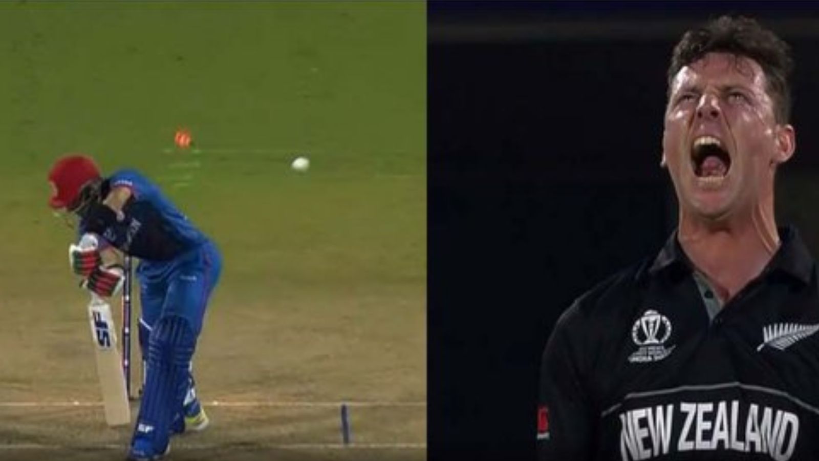 WATCH: Matt Henry unleashes wild roaring celebration after disrupting Gurbaz's stumps during NZ vs AFG World Cup match WATCH: Matt Henry unleashes wild roaring celebration after disrupting Gurbaz's stumps during NZ vs AFG World Cup match
