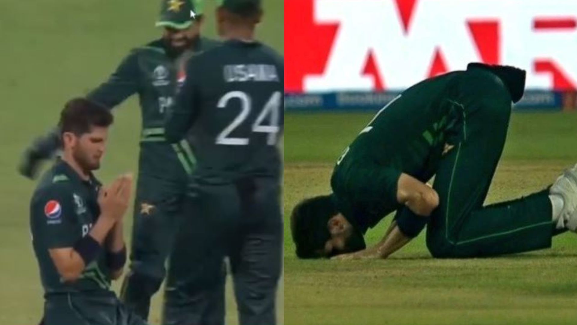 WATCH: After Mohammad Rizwan, Shaheen Afridi offers prayer on the field after punching fifer against Australia Pakistan's Shaheen Afridi gestures after taking fifer against Australia.