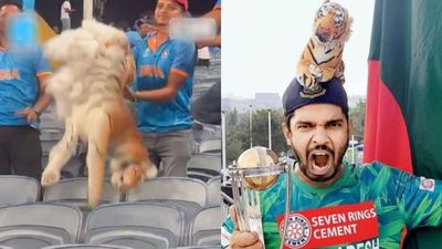 WATCH: Bangladesh superfan harassed, stuffed toy torn apart during India clash, video goes viral as Indian fans say 'sorry' (R) Indian fans tear apart a stuffed tiger toy; (L) Bangladesh super fan Shoaib Ali