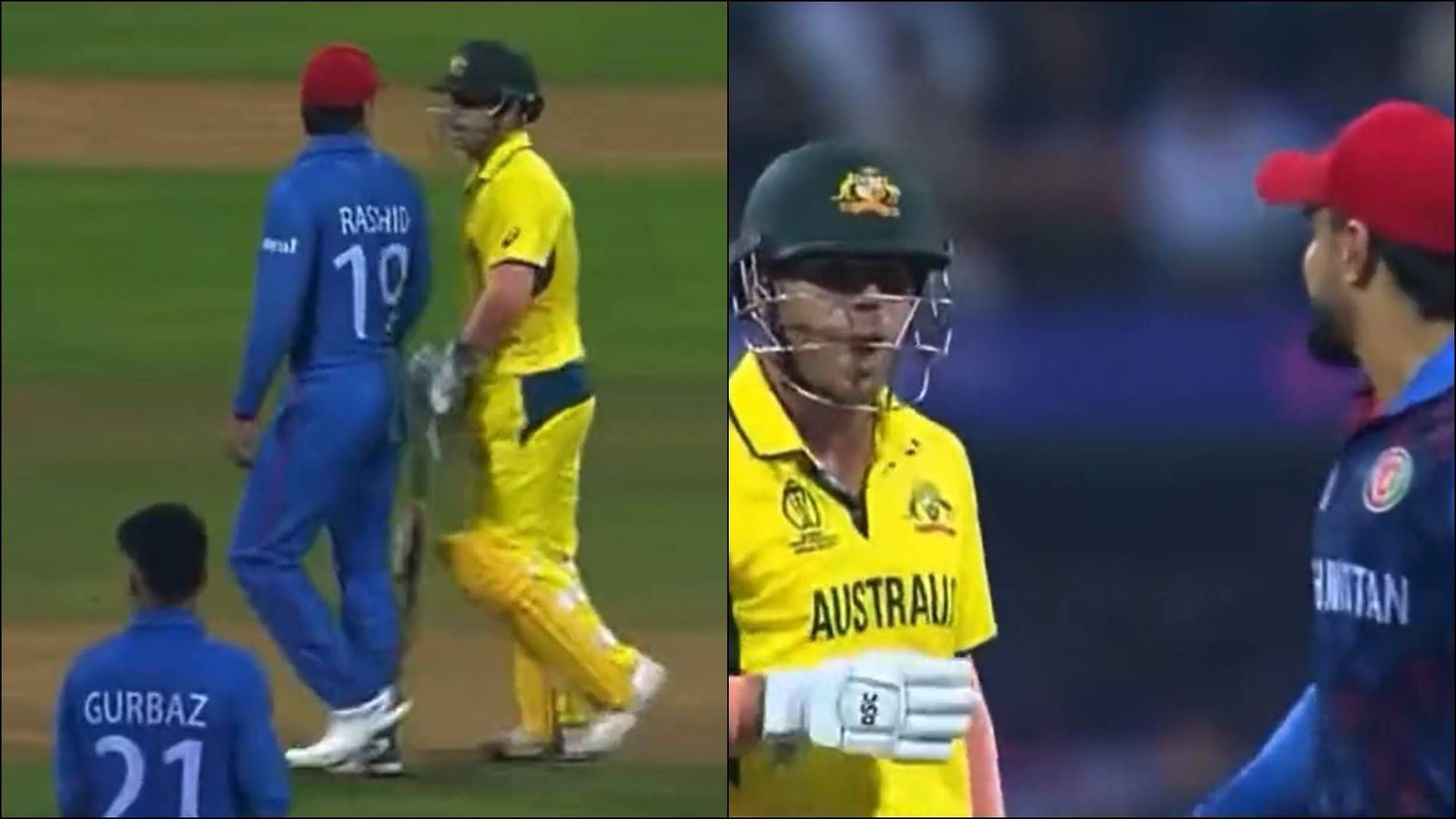 WATCH: Former Sunrisers Hyderabad teammates David Warner and Rashid Khan involved in heated exchange WATCH: Former Sunrisers Hyderabad teammates David Warner and Rashid Khan involved in heated exchange