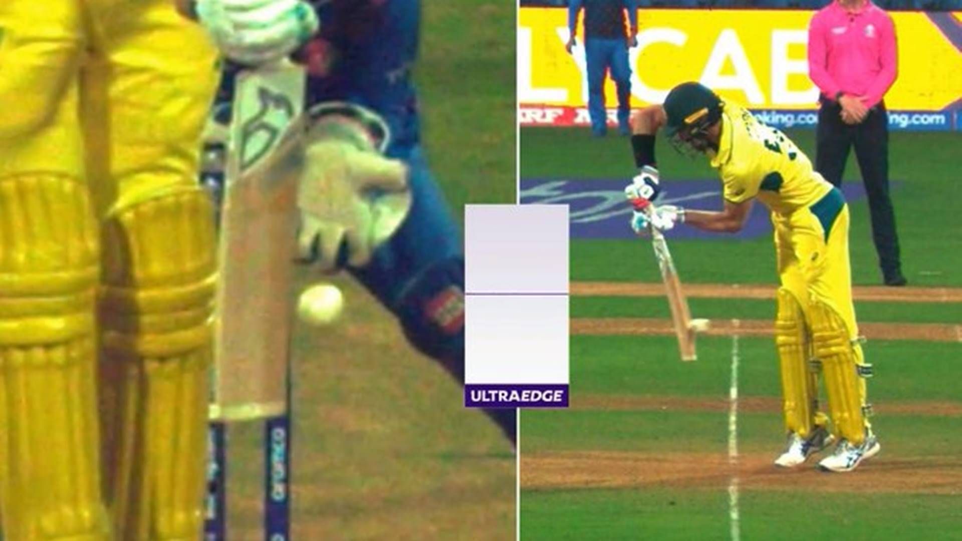 Mitchell Starc suffers brainfade, chooses not to use DRS despite not edging the ball to wicketkeeper, watch video The ultraedge showed no spike as the ball passed Mitchell Starc's bat (Screengrab: Hotstar)