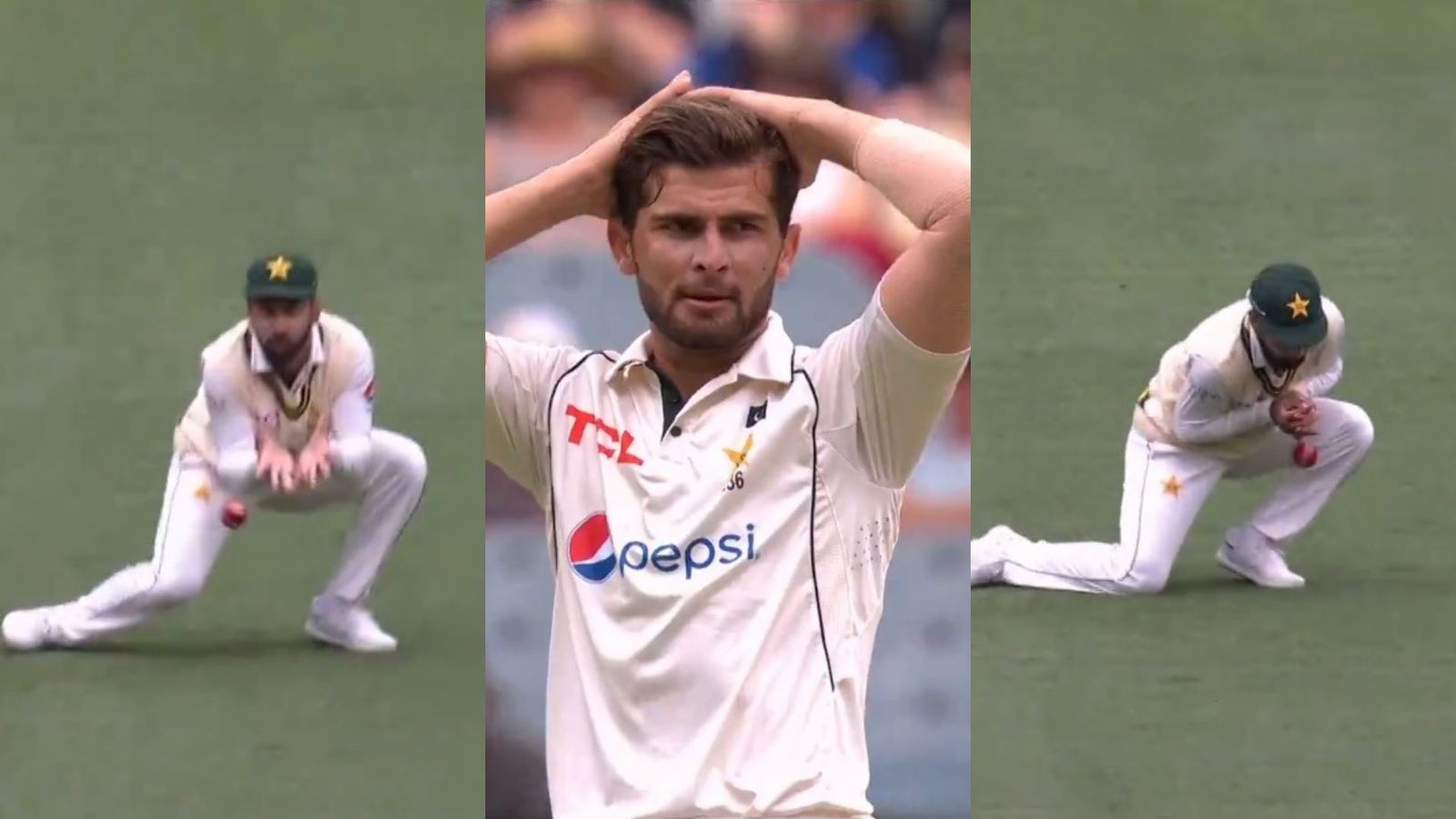 Watch: Abdullah Shafique drops 'easiest of catches' to give David Warner another lifeline; fans troll Pakistan cricketer Watch: Abdullah Shafique drops 'easiest of catches' to give David Warner another lifeline; fans troll Pakistan cricketer