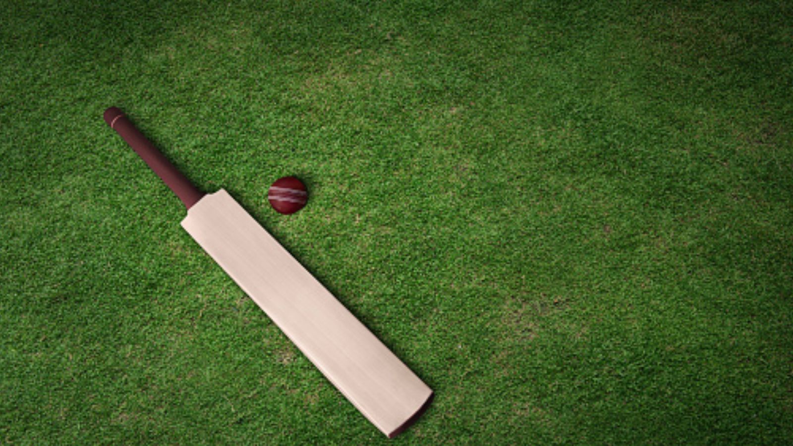 Umpires 'thrown out of the ground' after massive feud with American Premier League's organisers in bizarre controversy Umpires 'thrown out of the ground' after massive feud with American Premier League's organisers in bizarre controversy