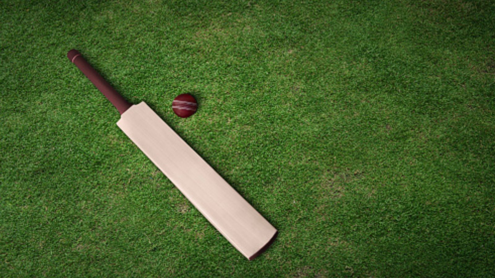 Mumbai cricketer succumbs to death after being struck on head by ball during match in a tragic incident The police reported that Jayesh Chunnilal Savla during a match was struck in the head by a ball, causing him to lose consciousness.