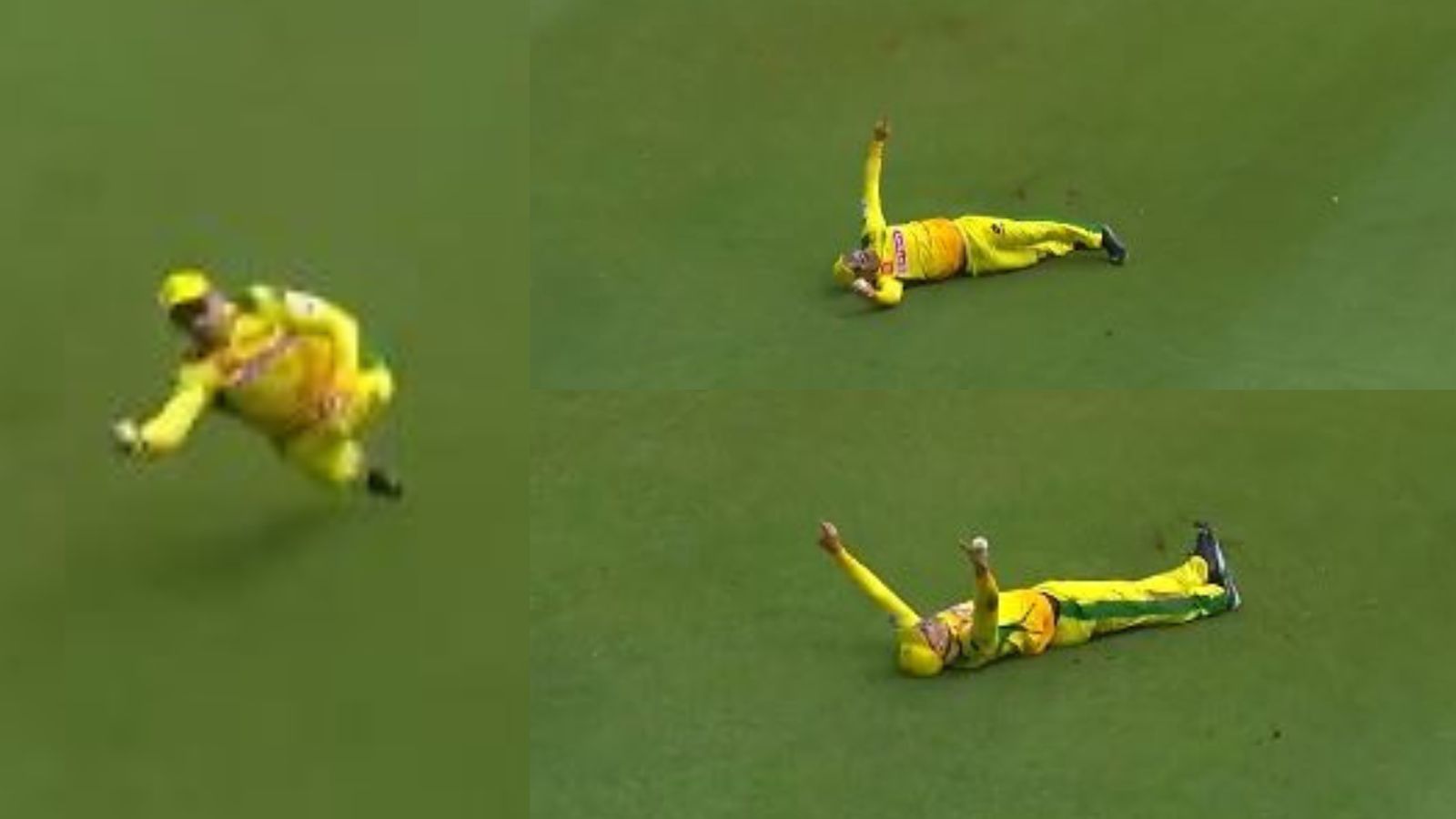 WATCH: Faf Du Plessis becomes flying beast, pulls off 'one in a million' catch to get rid of 'Baby AB' during SA20 match Faf Du Plessis took a blinder to dismiss Dewald Brevis during SA20 match between Johannesburg Super Kings and Mumbai Indians Cape Town.