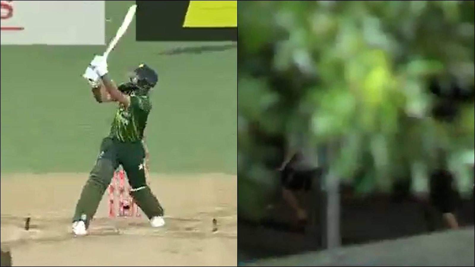 Fakhar Zaman hits a massive six against New Zealand, fan picks up ball on the road and runs away; watch viral video Fakhar Zaman hits the ball out of the park which was picked up by a fan on the road (Screengrab: X)