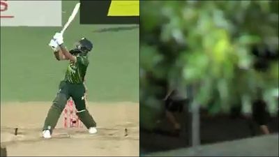 Fakhar Zaman hits a massive six against New Zealand, fan picks up ball on the road and runs away; watch viral video Fakhar Zaman hits the ball out of the park which was picked up by a fan on the road (Screengrab: X)
