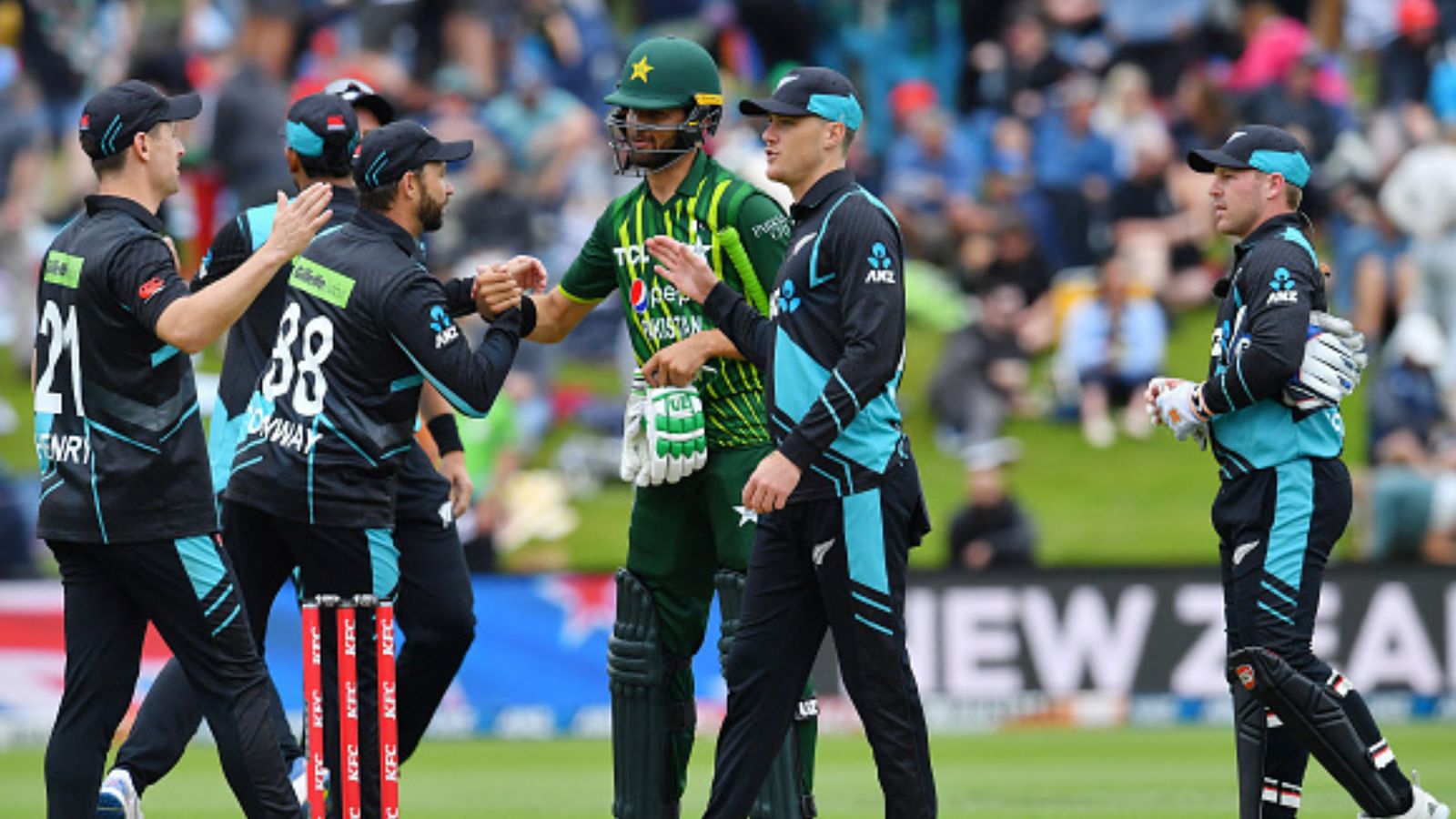 'Black Day in Pakistan cricket': Fans raged after Shaheen Afridi brigade's T20I series defeat against New Zealand 'Black Day in Pakistan cricket': Fans raged after Shaheen Afridi brigade's T20I series defeat against New Zealand