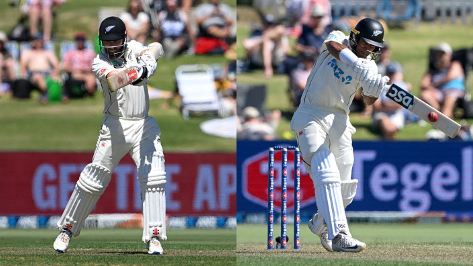 NZ vs SA: Kane Williamson's 30th ton, Rachin Ravindra's maiden Test century propels New Zealand to 258/2 at stumps on Day 1 Kane Williamson (L) and Rachin Ravindra (R).