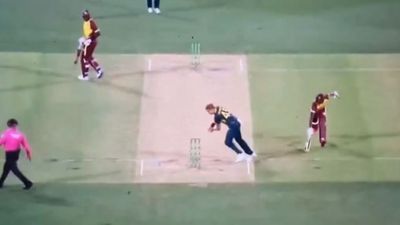 WATCH: Bizarre scenes unfold in Adelaide as West Indies batter survives despite being run out during AUS vs WI 2nd T20I Bizarre scenes unfold in Adelaide as Alzarri Joseph survived despite being run out during AUS vs WI 2nd T20I