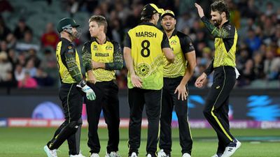 Captain Mitchell Marsh reveals Australia's 'most important player' ahead of T20 World Cup and it's not Maxwell, Warner or Cummins Australia cricketers celebrating a wicket.
