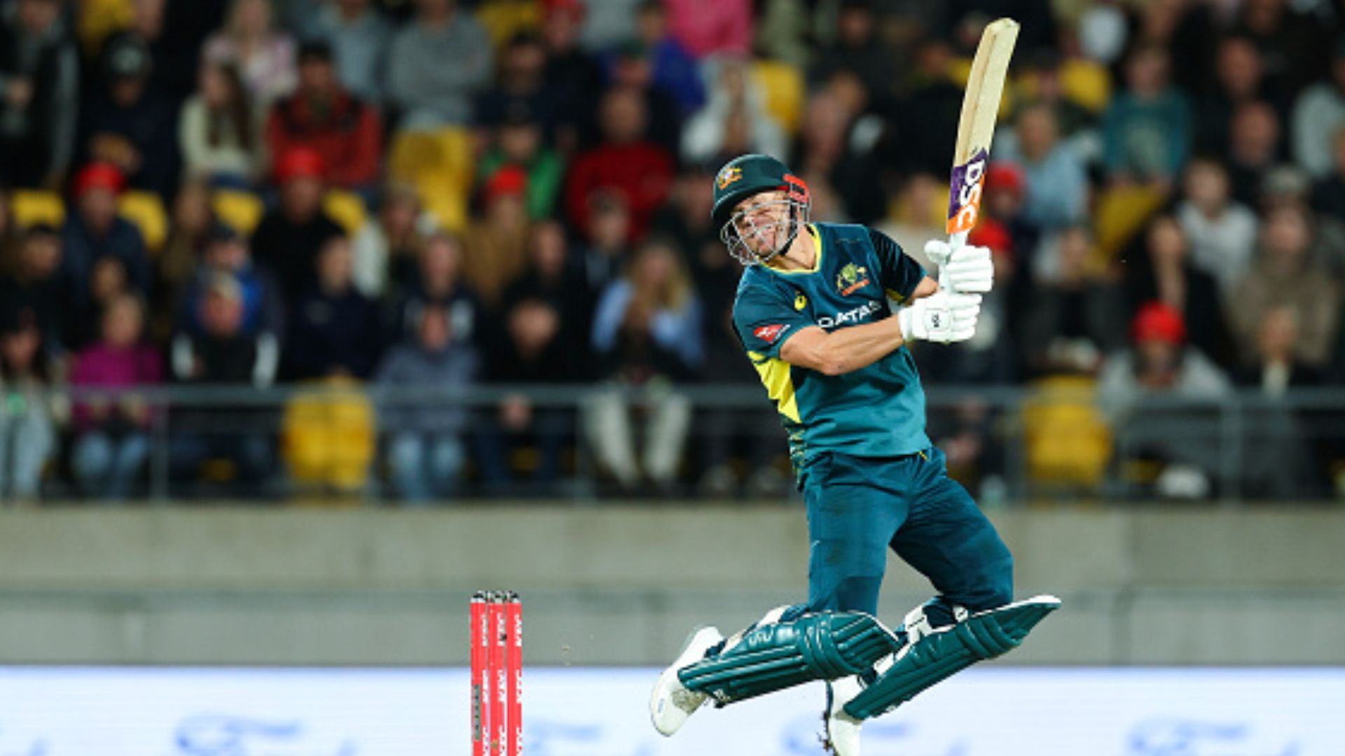 David Warner injury: Major update on superstar Australian batter's availability for IPL 2024 and T20 World Cup; know here Australia batter David Warner.