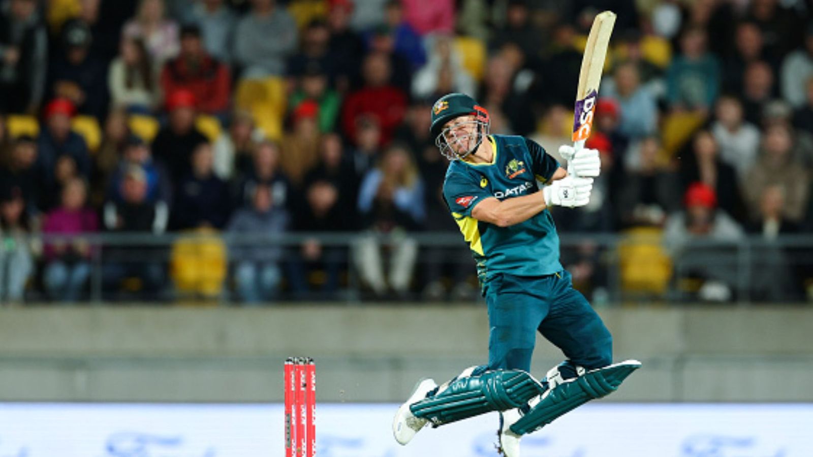 David Warner injury: Major update on superstar Australian batter's availability for IPL 2024 and T20 World Cup; know here David Warner injury: Major update on superstar Australian batter's availability for IPL 2024 and T20 World Cup; know here