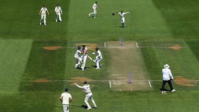 Kane Williamson left frustrated as collision with Will Young and Mitchell Starc ends his 12-year run out free streak in Tests Kane Williamson gets involved in a collision with led to his run out (Getty Images)