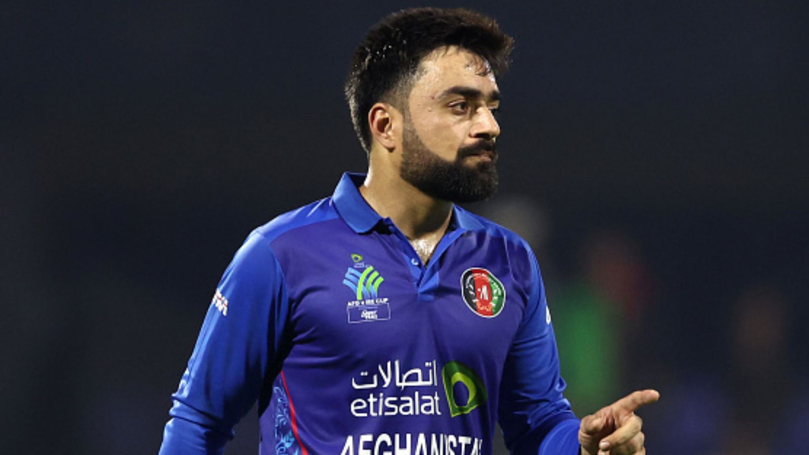 Afghanistan Cricket reacts to Australia's decision to postpone T20I series, issues firm statement Afghanistan Cricket reacts to Australia's decision to postpone T20I series, issues firm statement