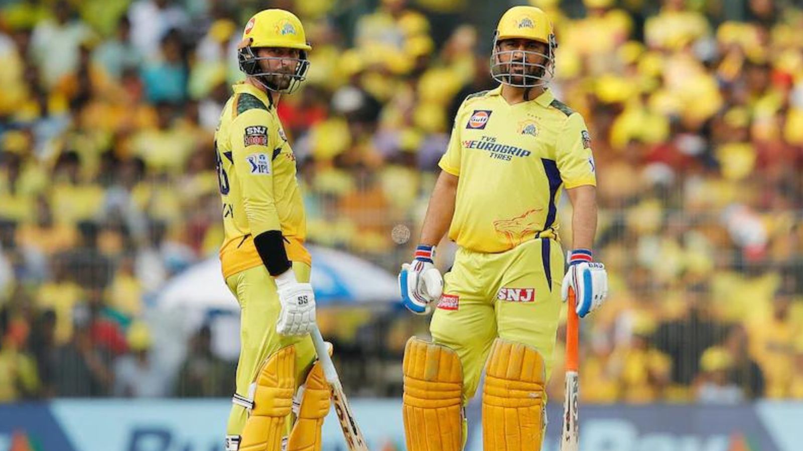 Massive blow to CSK, star batter ruled out of IPL 2024; 36-yr-old English player announced replacement Massive blow to CSK, star batter ruled out of IPL 2024; 36-yr-old English player announced replacement