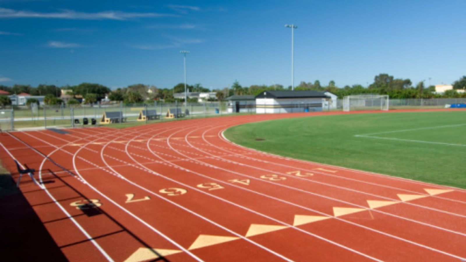 Indian runner Shalu Chaudhary's four-year ban revoked as doping charges cleared after DNA test Representational image of runnning track. (Getty)