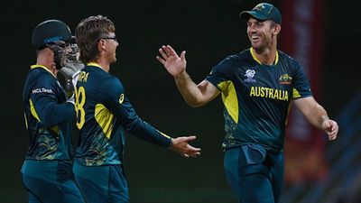 'Probably not as many beers as you had back in the day Haydos': Mitchell Marsh's quirky answer to how Australia are celebrating in T20 World Cup 2024 Australian players celebrating a wicket (Getty Images)