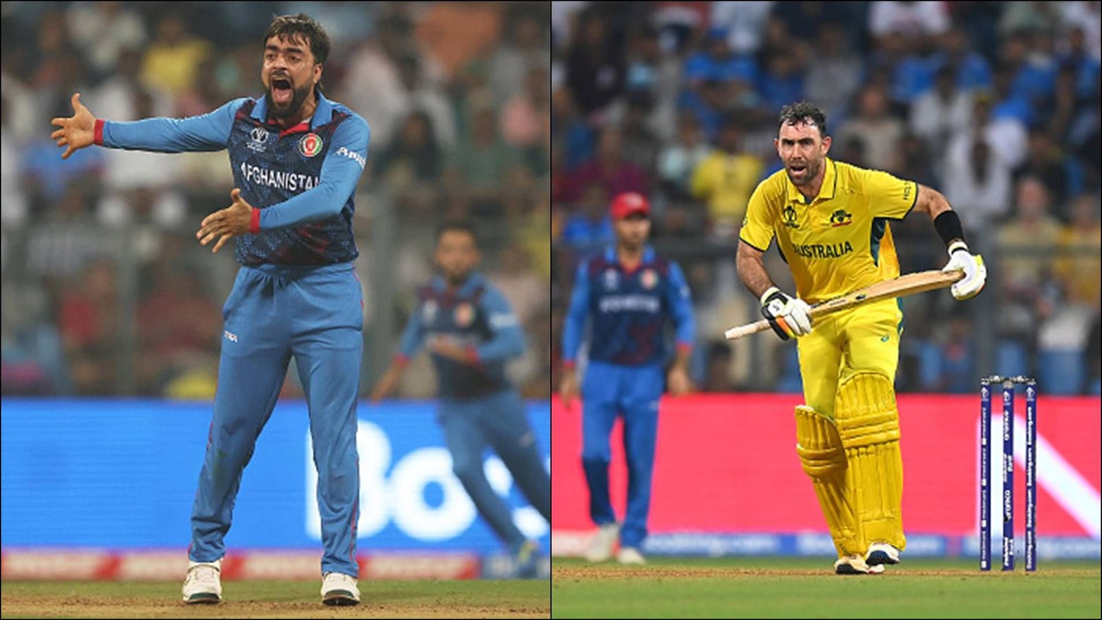 'Whenever I'm going to sleep, sometimes...': Rashid Khan admits having nightmares about Glenn Maxwell's double ton 'Whenever I'm going to sleep, sometimes...': Rashid Khan admits having nightmares about Glenn Maxwell's double ton
