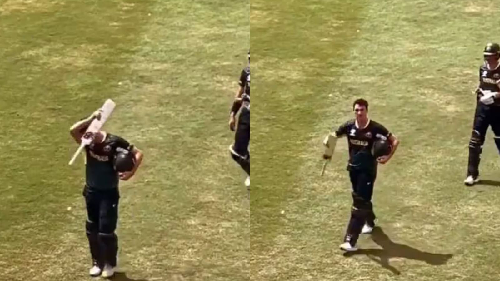 'That's for 2023, that's revenge': Indian fan's brutal reminder to Pat Cummins after loss against India in T20 World Cup 2024 Pat Cummins in frame (Twitter)