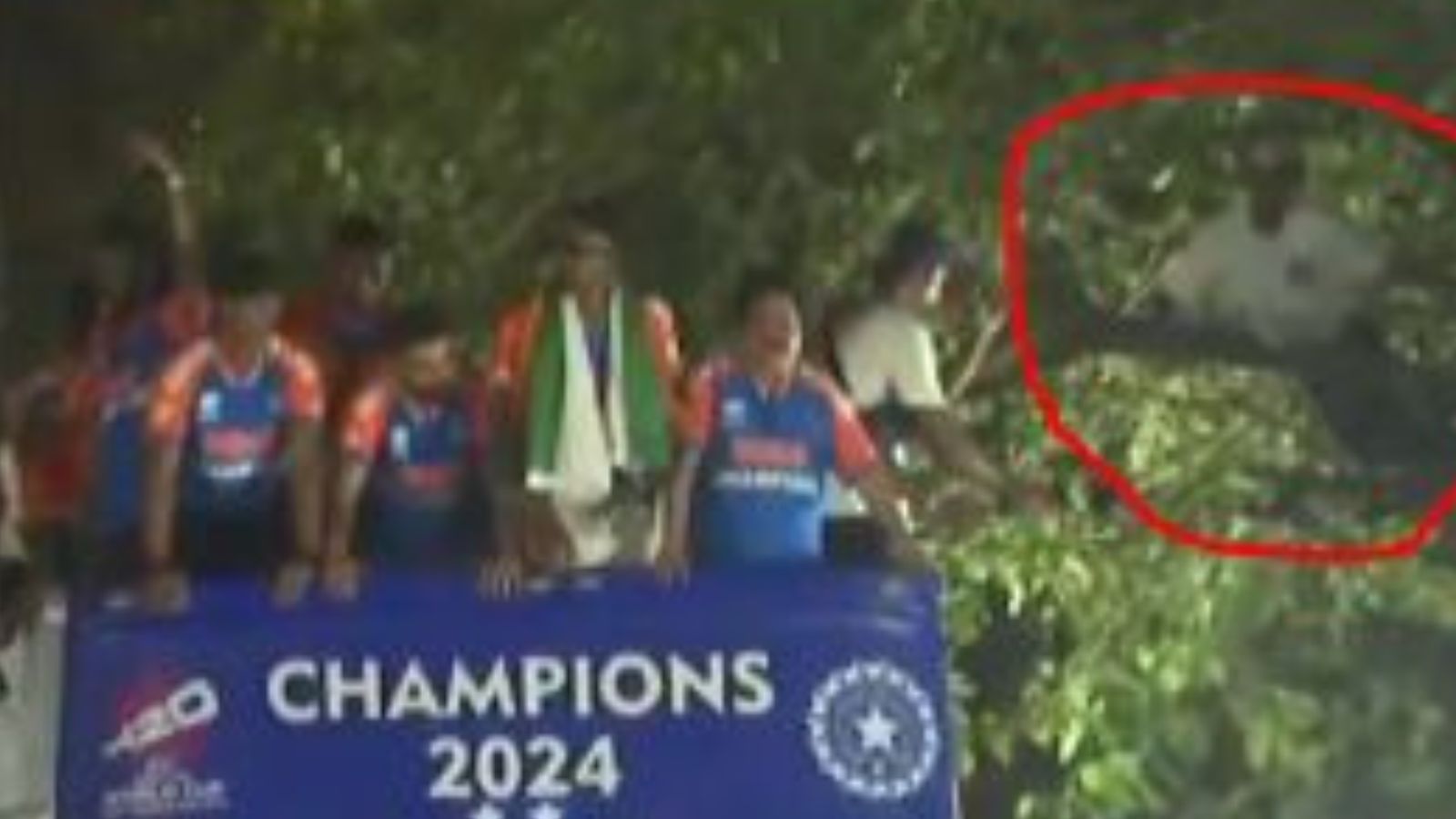 WATCH: Mumbai man risks his life, climbs tree for close-up view of Team India's victory parade; video breaks internet WATCH: Mumbai man risks his life, climbs tree for close-up view of Team India's victory parade; video breaks internet