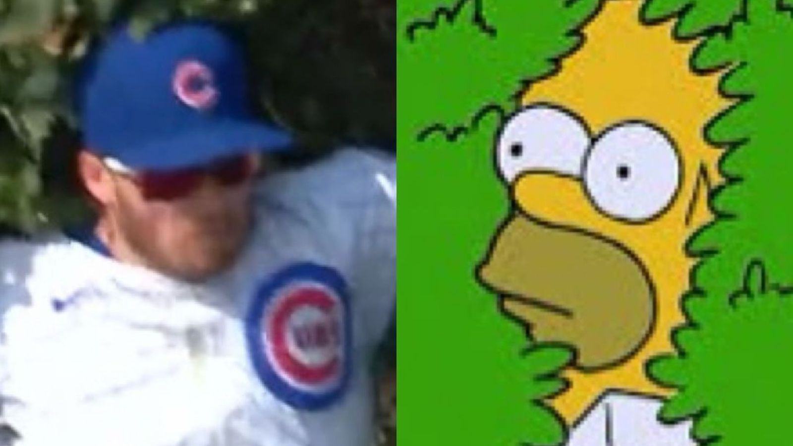 MLB star Ian Happ recreates viral Simpson meme with catch in ivy against Yankees - WATCH Ian Happ in frame (MLB Instagram)