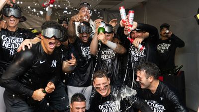 Everything you need to know about MLB playoffs: Number of teams, format and more MLB playoffs in the frame (getty)