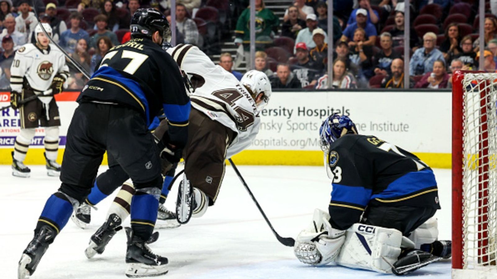 Everything you need to know about American Hockey League 2024-2025 : Where to watch, live streams, schedule, teams and more AHL in the frame