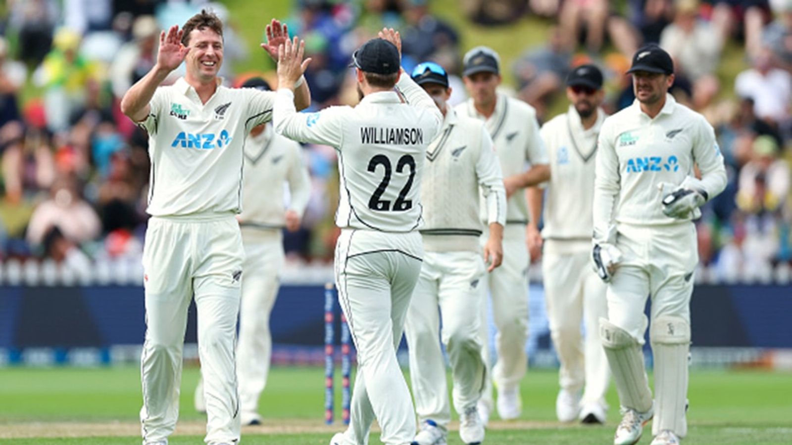 IND vs NZ: Major setback for New Zealand ahead of Wankhede Test, star player ruled out of final match of the series Matt Henry of New Zealand celebrates with Kane Williamson after taking the wicket of Nathan Lyon of Australia