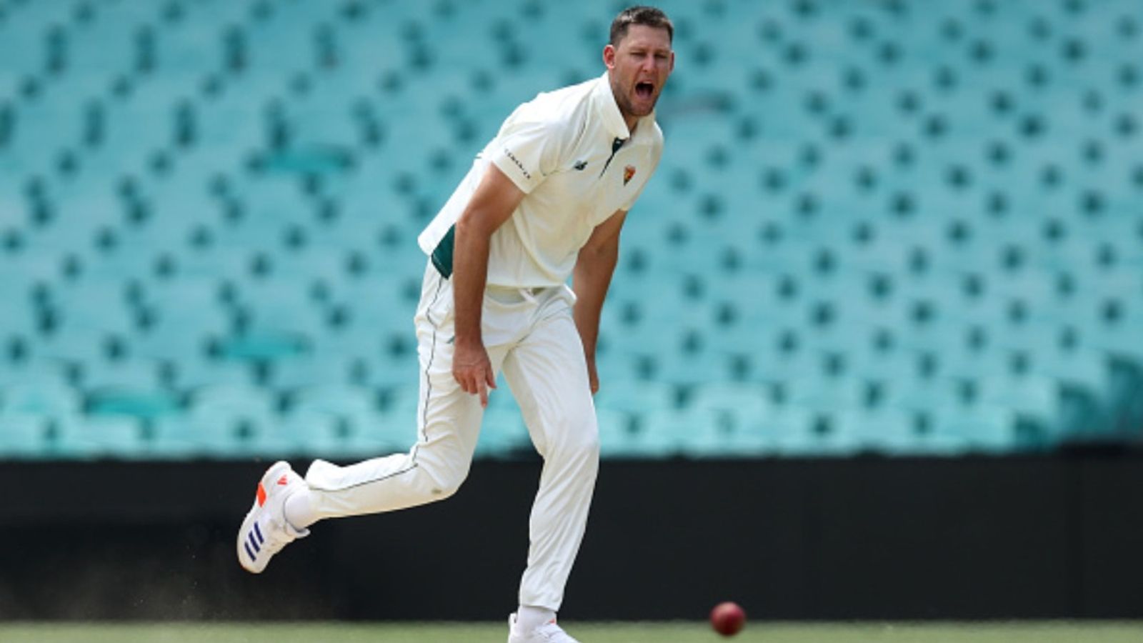 Who is Beau Webster, 30-year-old uncapped all-rounder who became the latest addition to Australia's Test squad for pink-ball Test in Adelaide Who is Beau Webster, 30-year-old uncapped all-rounder who became the latest addition to Australia's Test squad for pink-ball Test in Adelaide