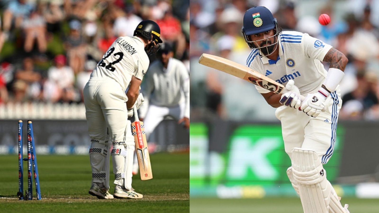 Epic Coincidence! KL Rahul, Kane Williamson avoid getting out on no balls on same day during Adelaide and Wellington Tests Epic Coincidence! KL Rahul, Kane Williamson avoid getting out on no balls on same day during Adelaide and Wellington Tests