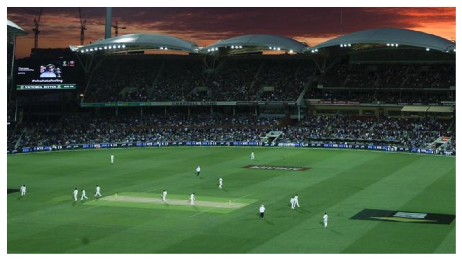 IND vs AUS: India vs Australia's Pink-Ball Test in Adelaide gets interrupted briefly due to bizarre reason Lights went off due to floodlight failure on Day 1 of the 2nd Test between Indian and Australia