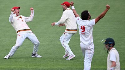 Watch: Last ball, 4 runs needed, Australian pacers suffer brainfade as draw turns into loss for Tasmania against South Australia Ben Manenti, Jake Lehmann and Wes Agar