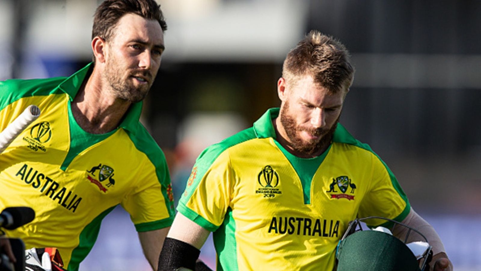 'He doesn't deserve that opportunity': David Warner does not wish to see Glenn Maxwell's comeback in Test cricket David Warner of Australia is congratulated by team mate Glenn Maxwell at the end of his innings during the Group Stage match of the ICC Cricket World Cup 2019 between Afghanistan and Australia at Bristol County Ground on June 01, 2019.