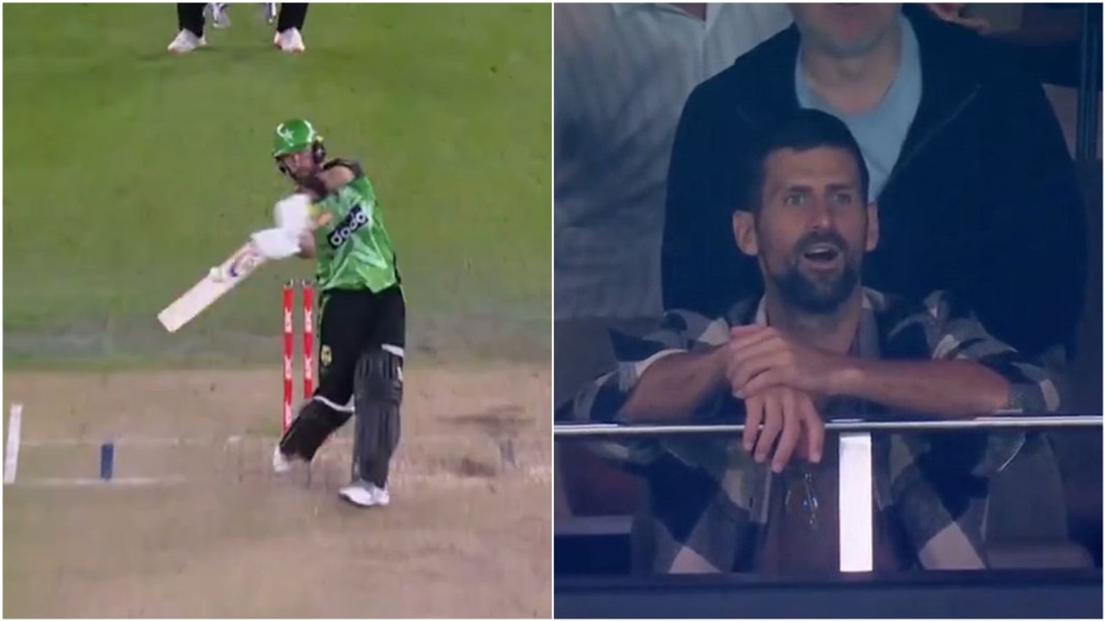 Melbourne Stars reduced to 75/7 in 11 overs, then Glenn Maxwell tonks 10 sixes in 52-ball 90 in Novak Djokovic's presence; watch video Melbourne Stars reduced to 75/7 in 11 overs, then Glenn Maxwell tonks 10 sixes in 52-ball 90 in Novak Djokovic's presence; watch video