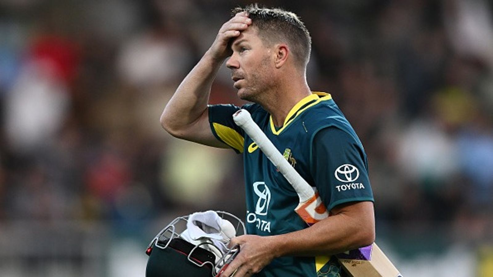 Kane Williamson and David Warner to make debut, here are PSL 2025 drafts picks and complete squads Kane Williamson and David Warner to make debut, here are PSL 2025 drafts picks and complete squads