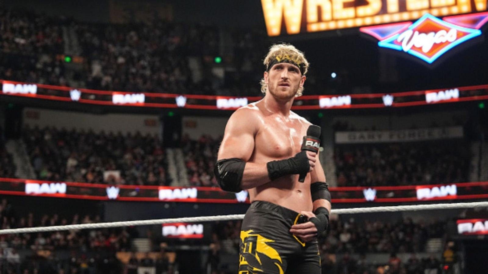 Logan Paul brutally slams WWE fans calling them unsophisticated post Royal Rumble loss says, 'sophistication is the last word' Logan Paul in the frame