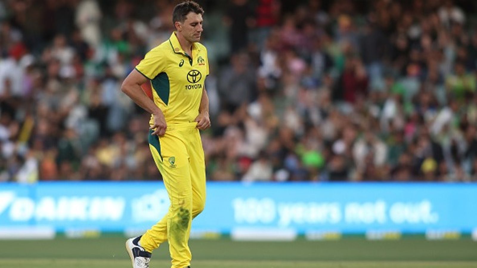 Pat Cummins reveals return plan after getting ruled out of Champions Trophy 2025, Australian captain wants to be ready for this mega event Pat Cummins reveals return plan after getting ruled out of Champions Trophy 2025, Australian captain wants to be ready for this mega event