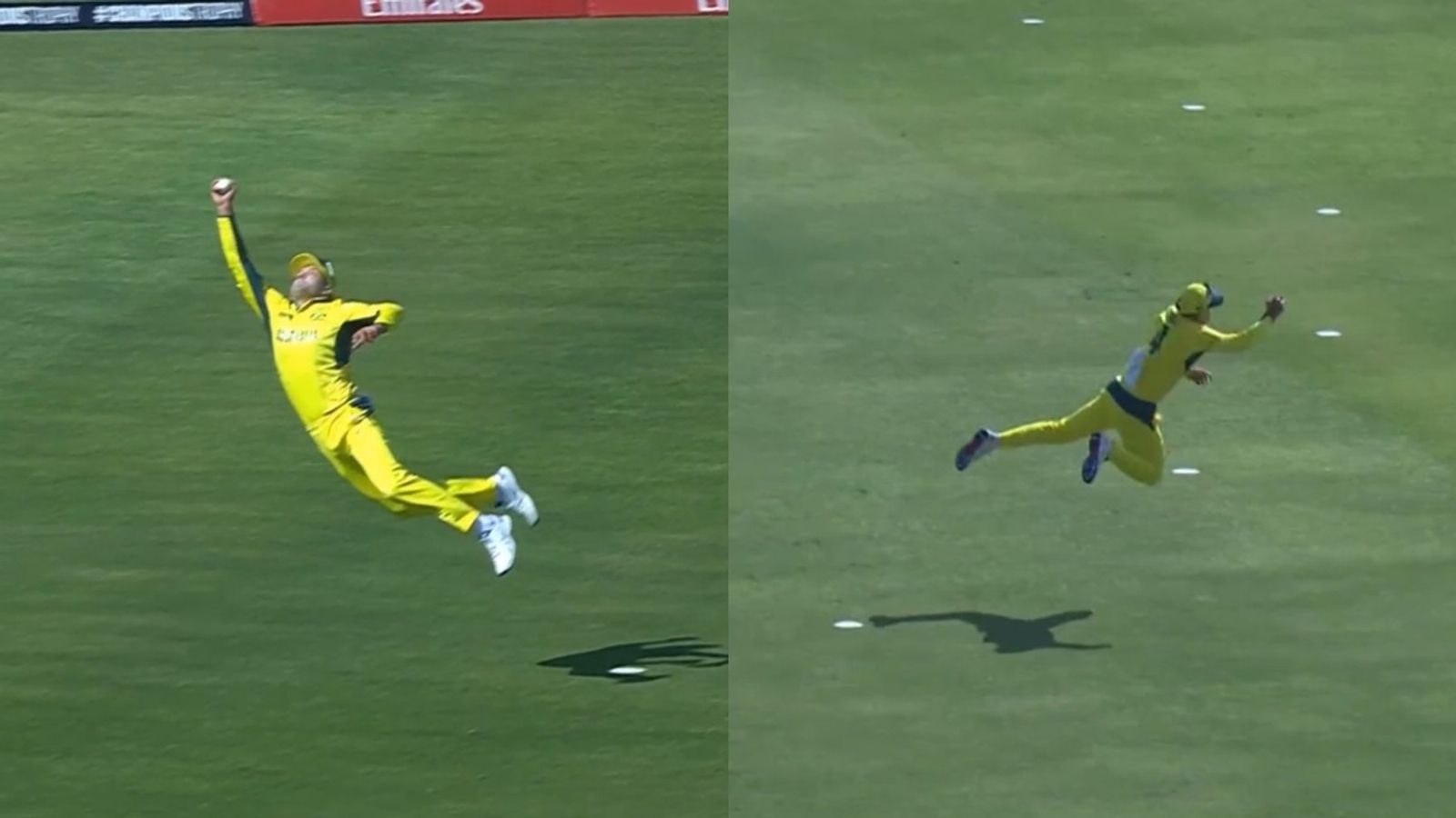 After Glenn Phillips, Alex Carey becomes Superman by taking potential catch of the tournament After Glenn Phillips, Alex Carey becomes Superman by taking potential catch of the tournament